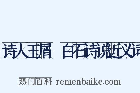 诗人玉屑·白石诗说近义词是什么意思的图片